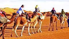 Camel-Safari-Ride-3