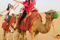 desert-camel-safari