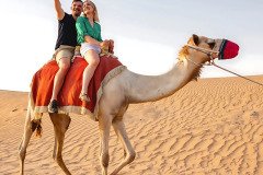 camel-image-1