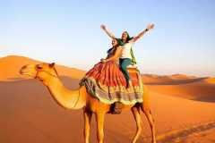 camel-image-2