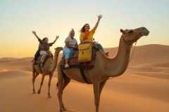 camel-image-3