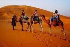 DESERT-SAFARI-GOLD-4
