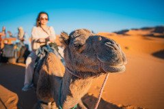 Camel-Ride-Desert
