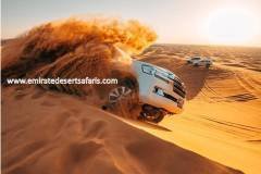 DESERT-SAFARI-SILVER-3