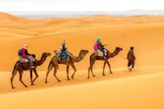 camel-ride-dubai