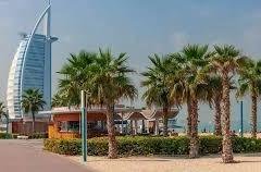 DUBAI-CITY-TOUR-DESERT-SAFARI-1