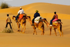 desert-dubai-camel-safari