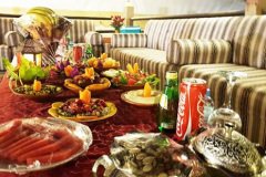 sofa-vip-safari