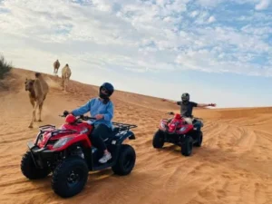Quad Bike Single Seat