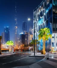 Dubai Night Tour