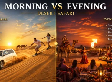 Morning and evening desert safari in Dubai sand dunes
